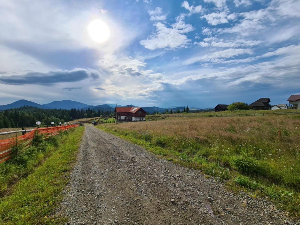 Pensiunea Zana Muntilor Piatra Fantanele Exterior photo