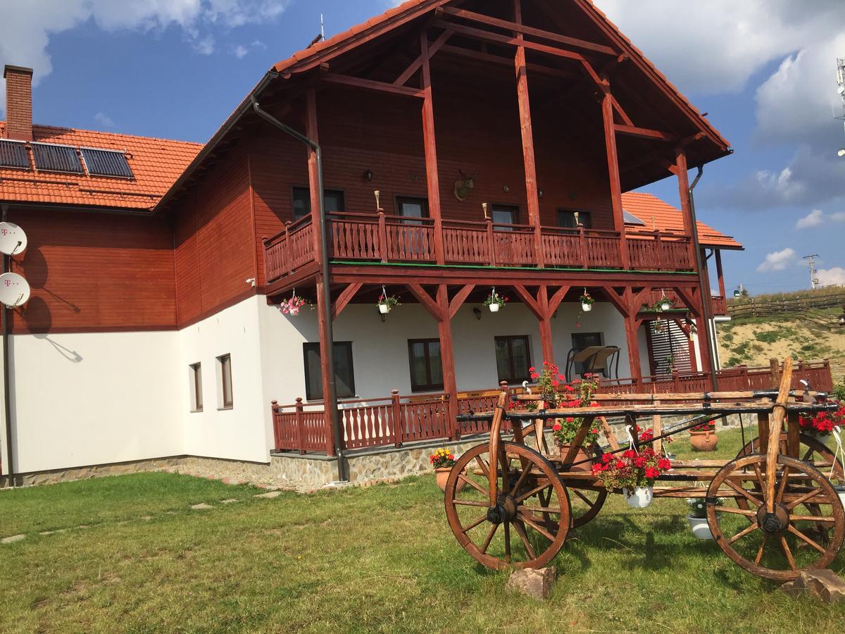 Pensiunea Zana Muntilor Piatra Fantanele Exterior photo